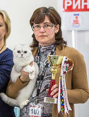 �������� ����� '�������� ���-�����'  5-6 ������ 2014 WCF-����� 1-107-wcf-Young CatSalon-296.jpg